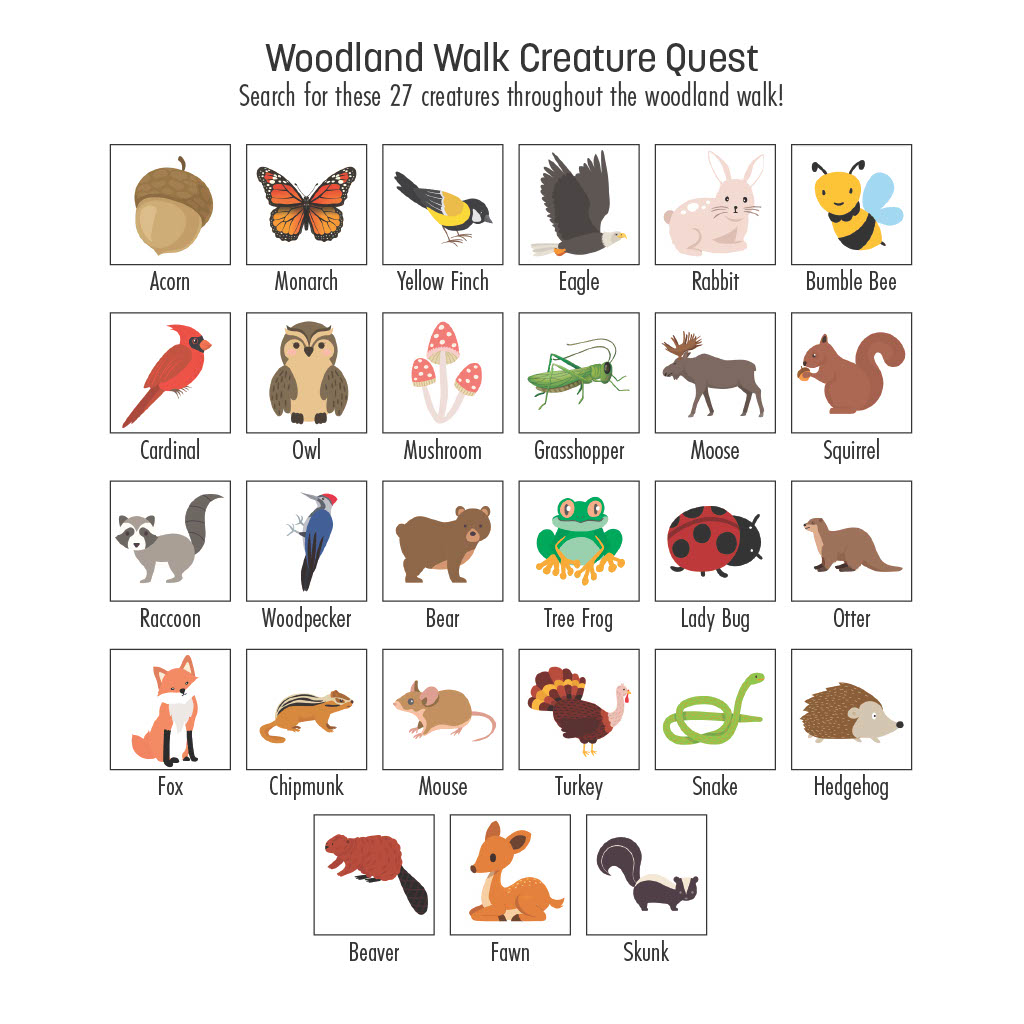 Woodland Walk Creature Quest